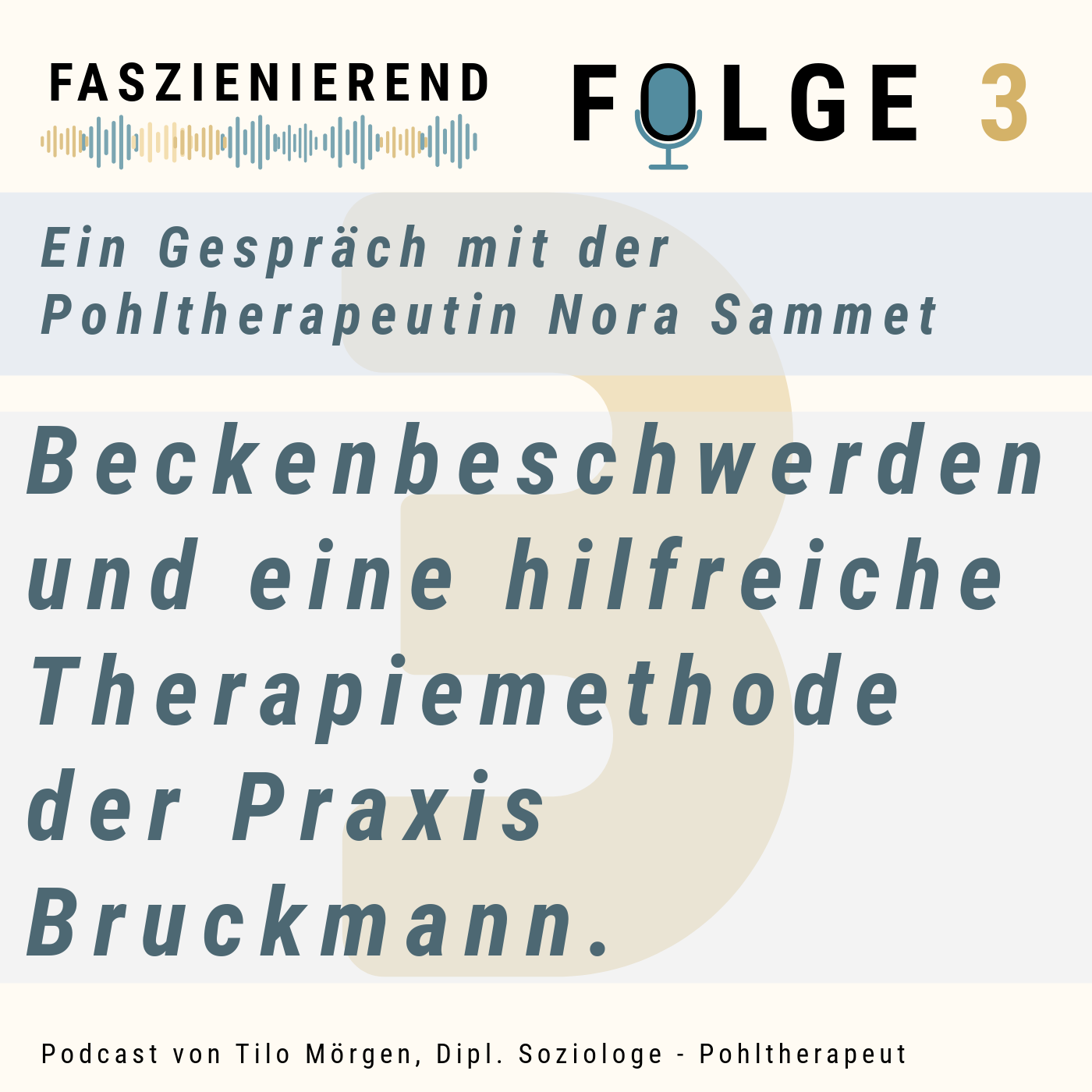 Nr. 3 - Beckenbeschwerden - Hilft manuelle Behandlung?